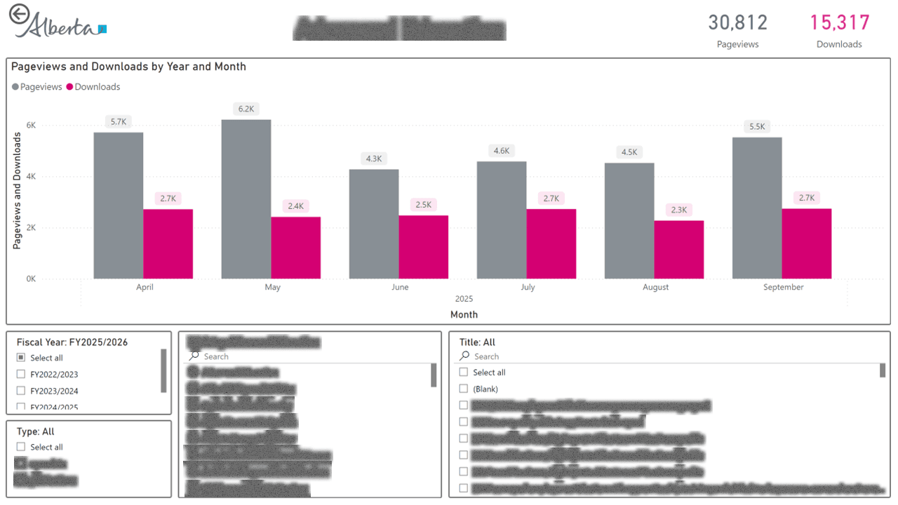 Public Data Portal — Usage & Adoption Analytics — page 6